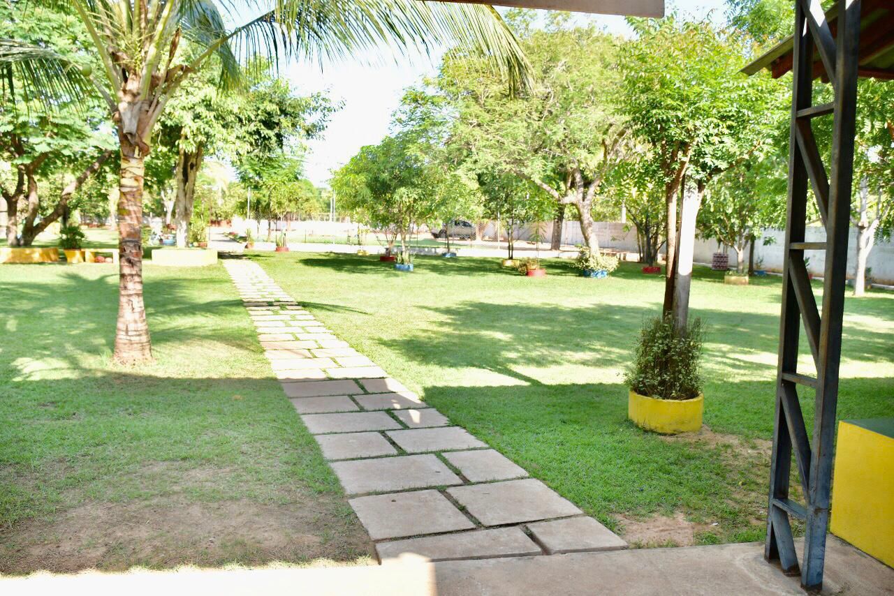 Caminho de pedras em meio à natureza