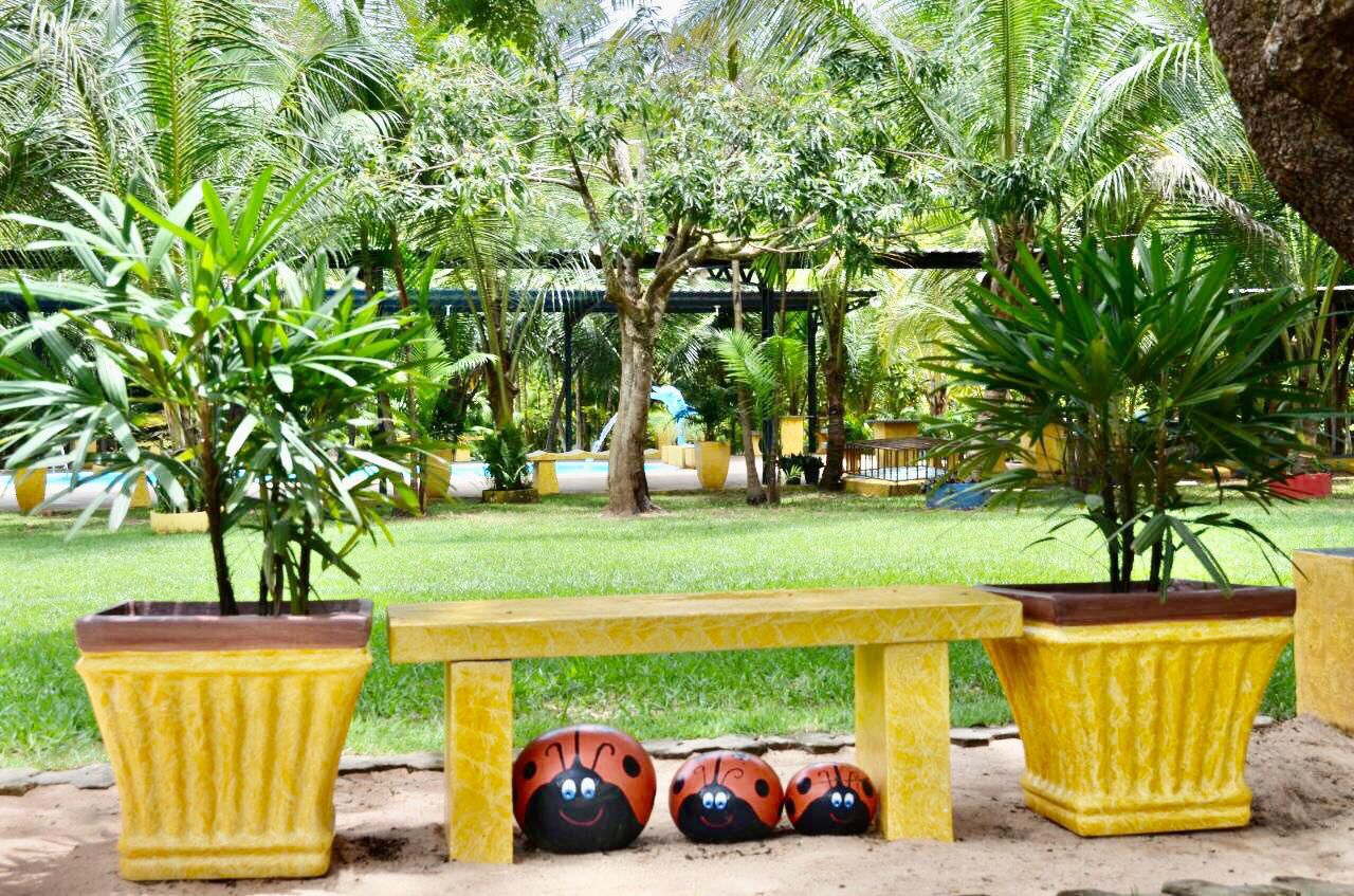 Piscina cristalina com cascata